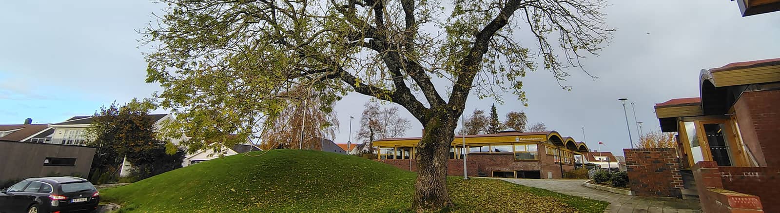 Gyldenlærlauget