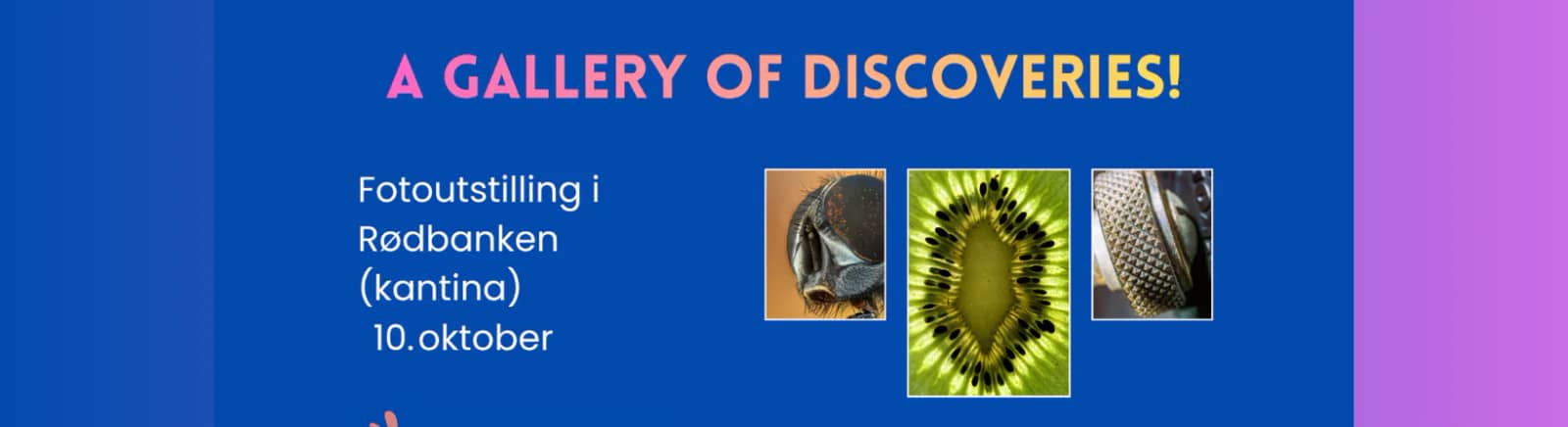 A gallery of discoveries
