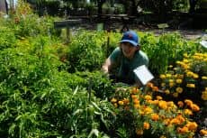 Urban Farm Volunteers
