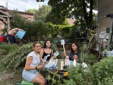 Volunteer Day: Work + Learn at Hattie Carthan Herban Farm