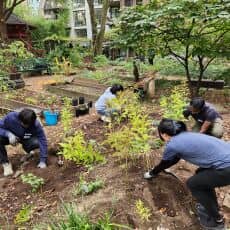 Volunteer Day: Jerry and The Senior Gents Of East New York