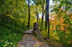 The Art of Noticing: A Mindful Birding Experience