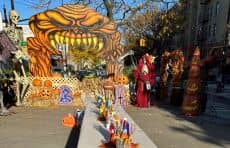 Boo Bash in the Bronx