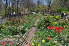The Garden People: 45 Years in Bloom