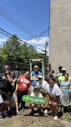 Volunteer Day: Cedar Tree