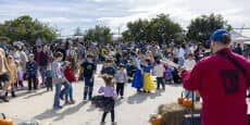 Brooklyn Bridge Park's Harvest Festival