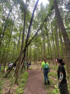 GCC/PPOW: Forest Restoration Workshop on the Todt Hill Blue Trail
