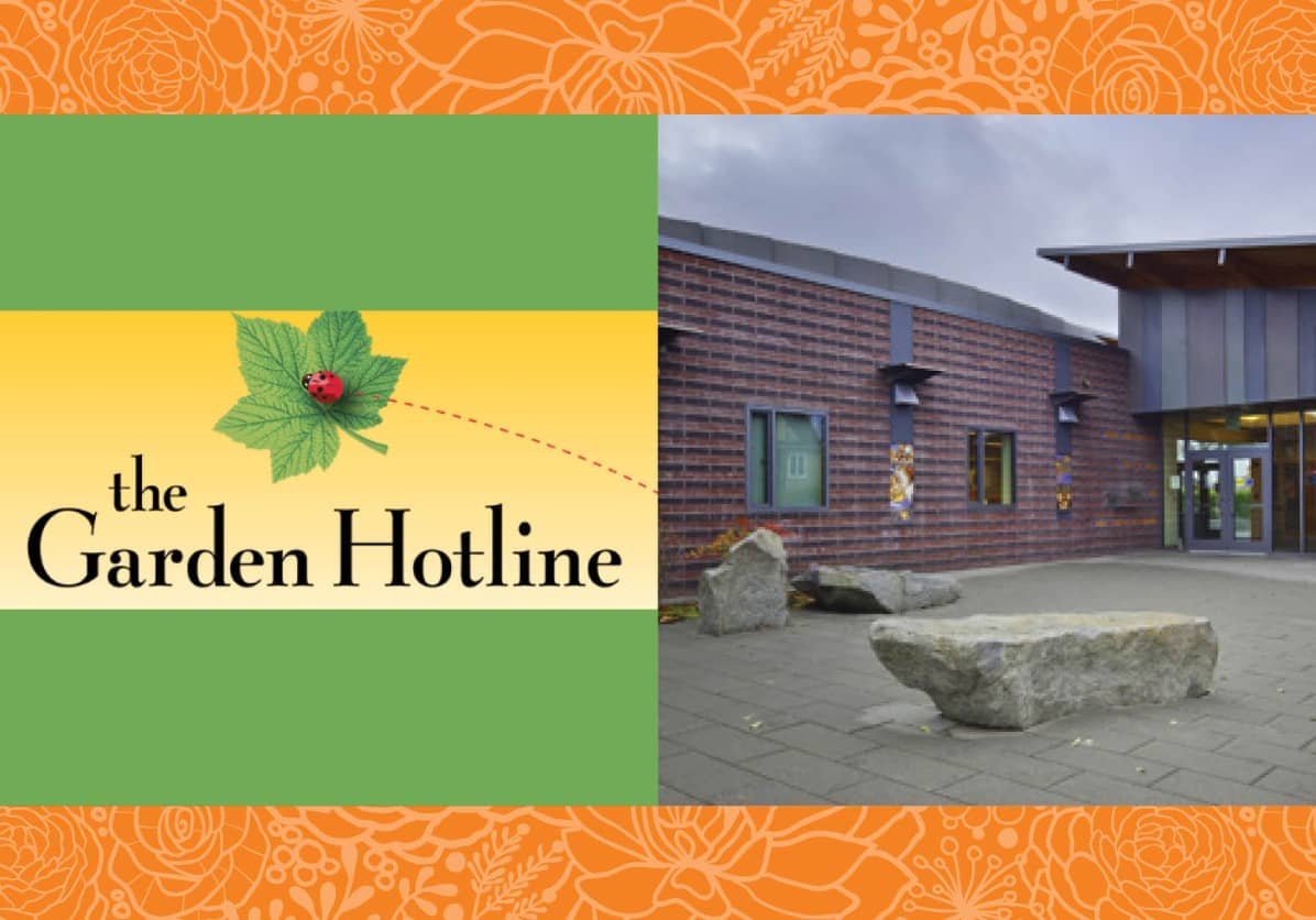 Garden Hotline Presents: Fall Groundwork in the Natural Garden