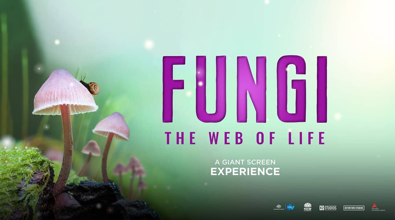 Cosmonova: Fungi