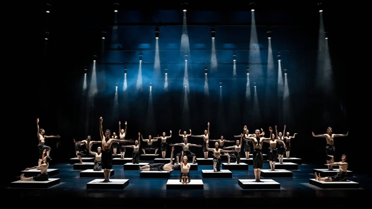 Dance: Chamber/Cacti