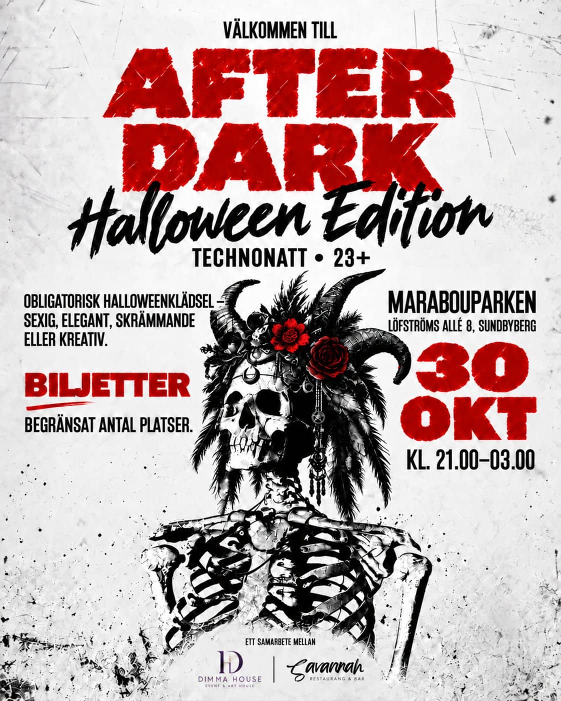 Halloween – After Dark/ Techni Night