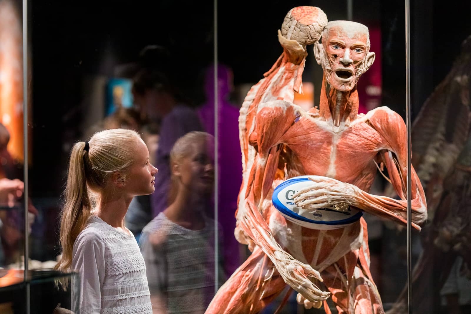 BODY WORLDS: The Happiness Project in Amsterdam