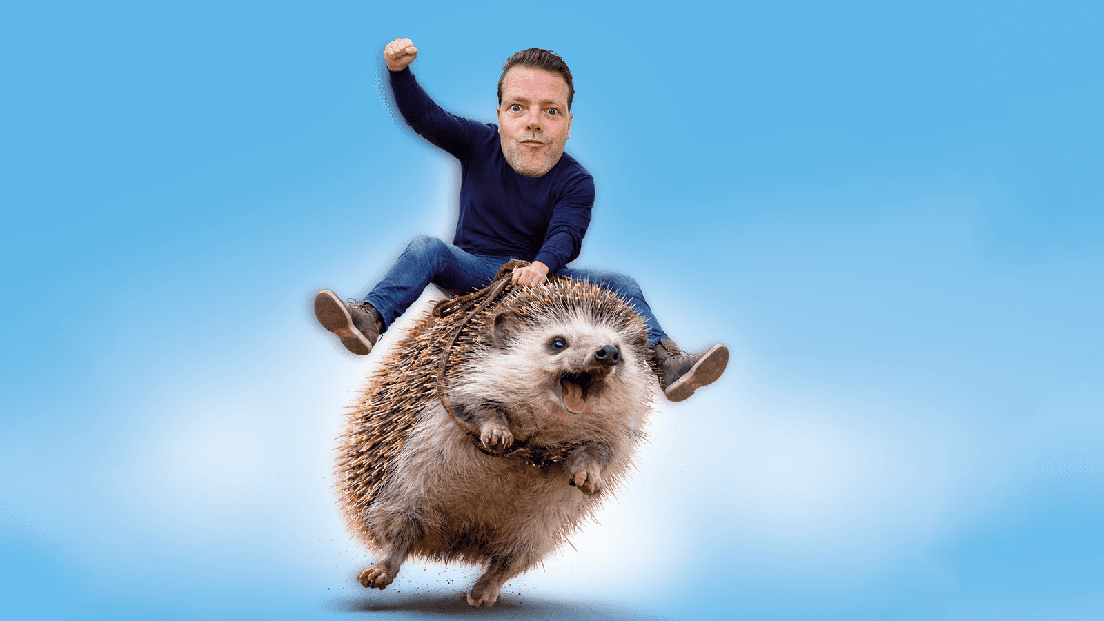 Martijn Koning - Overprikkeld