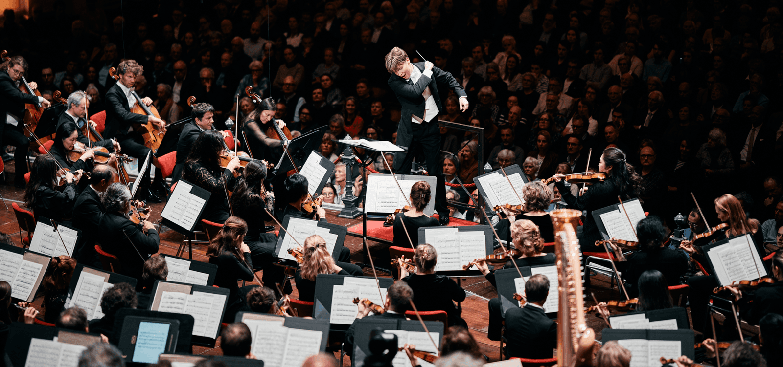 Concertgebouworkest Essentials: Klaus Mäkelä conducts Dvořák's Symphony No. 7
