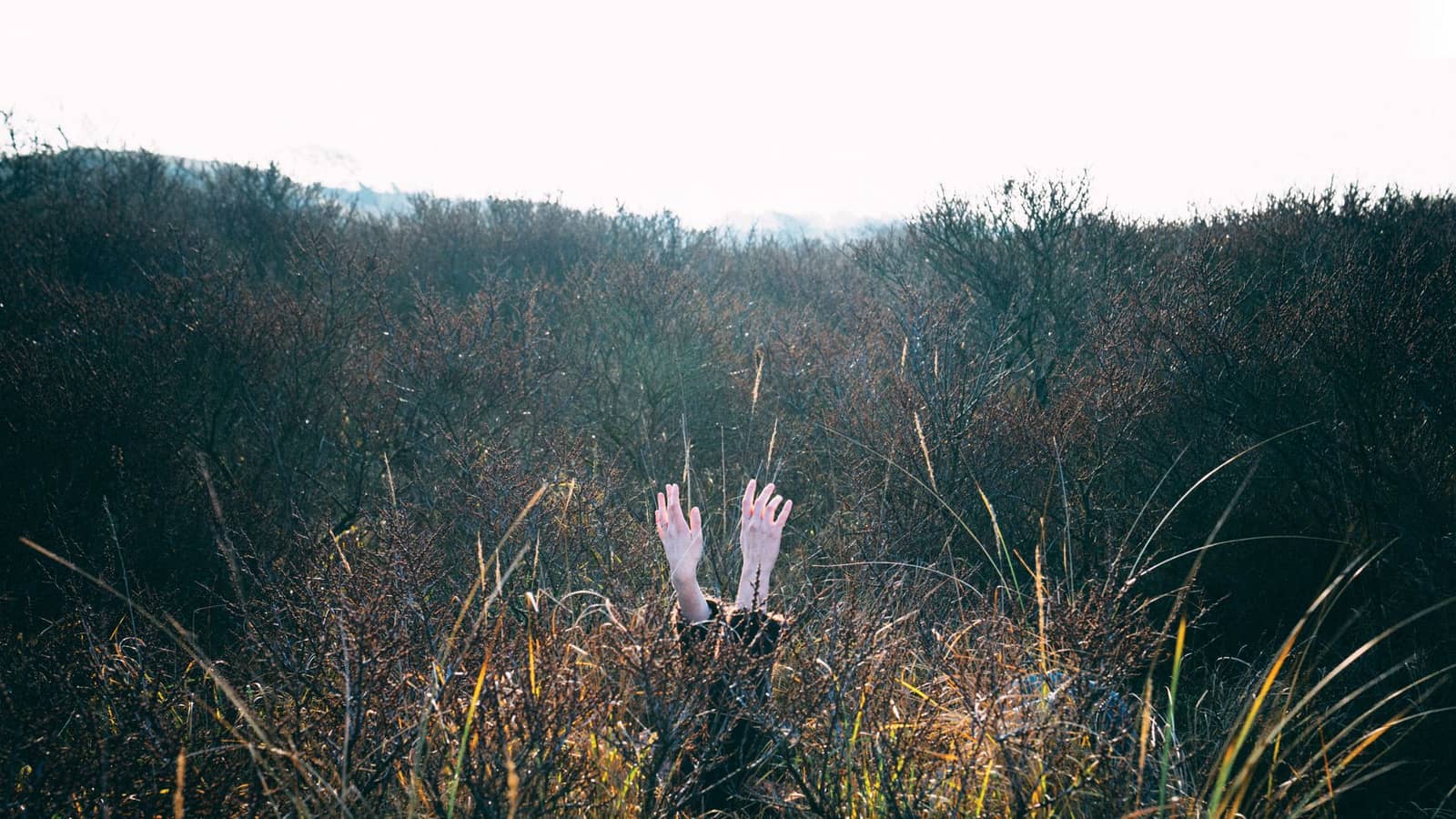 An Elegy Mees Vervuurt, Studio Vacuüm + NKK NXT