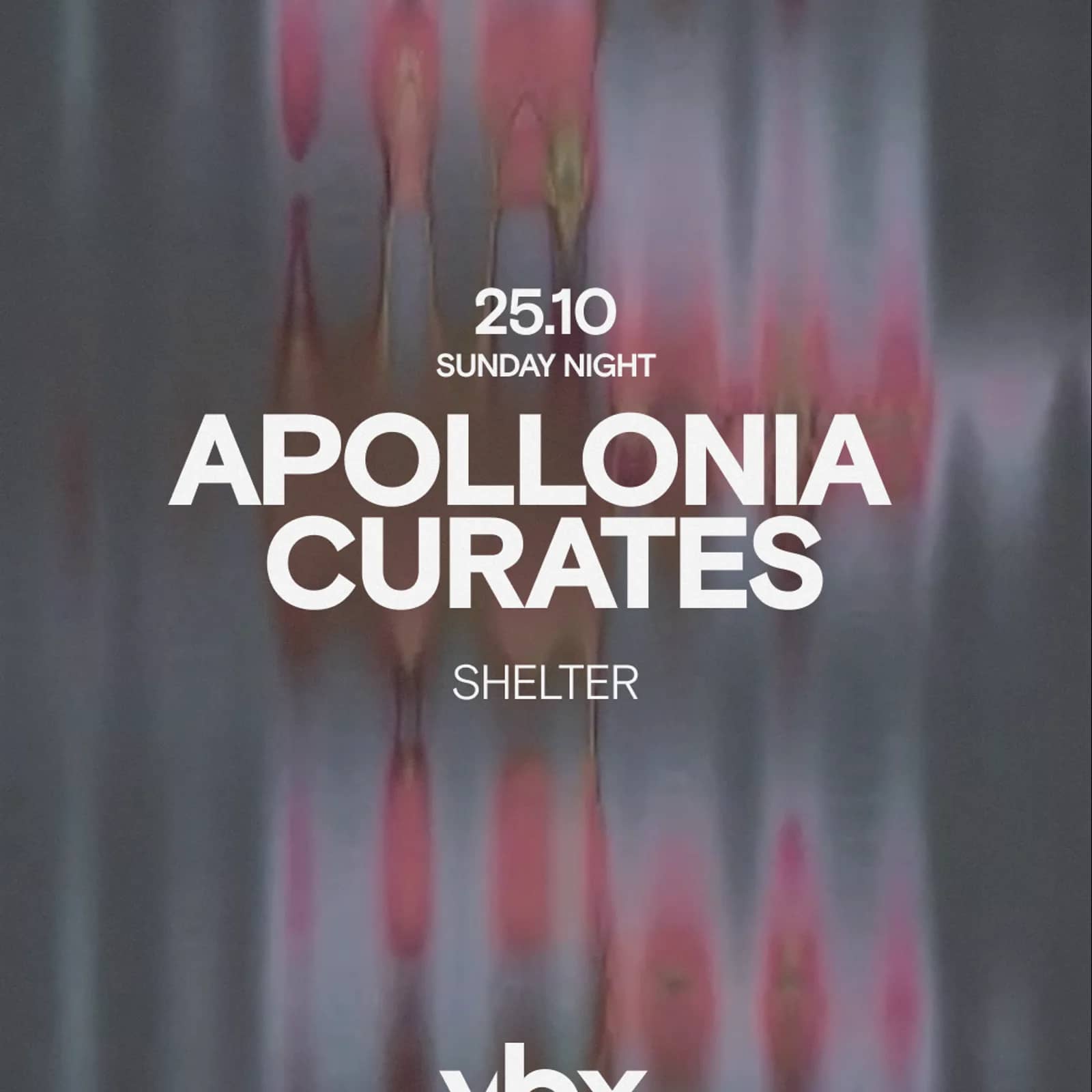 Apollonia curates VBX - Shelter - 25.10