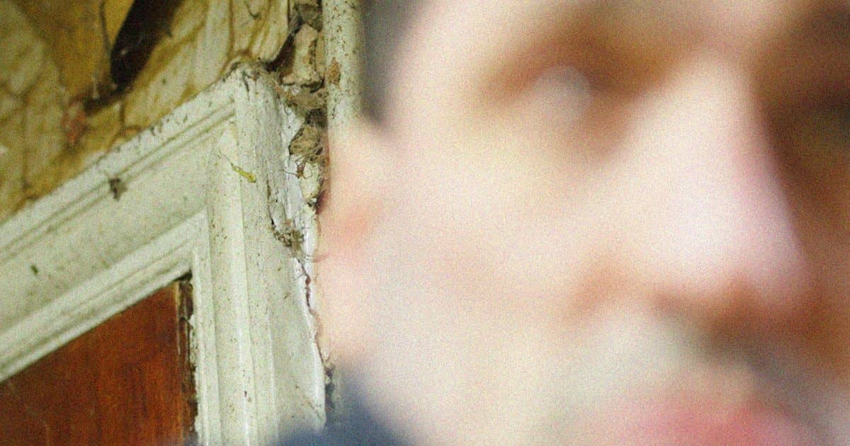 New Dutch Selected Artists' Moving Image