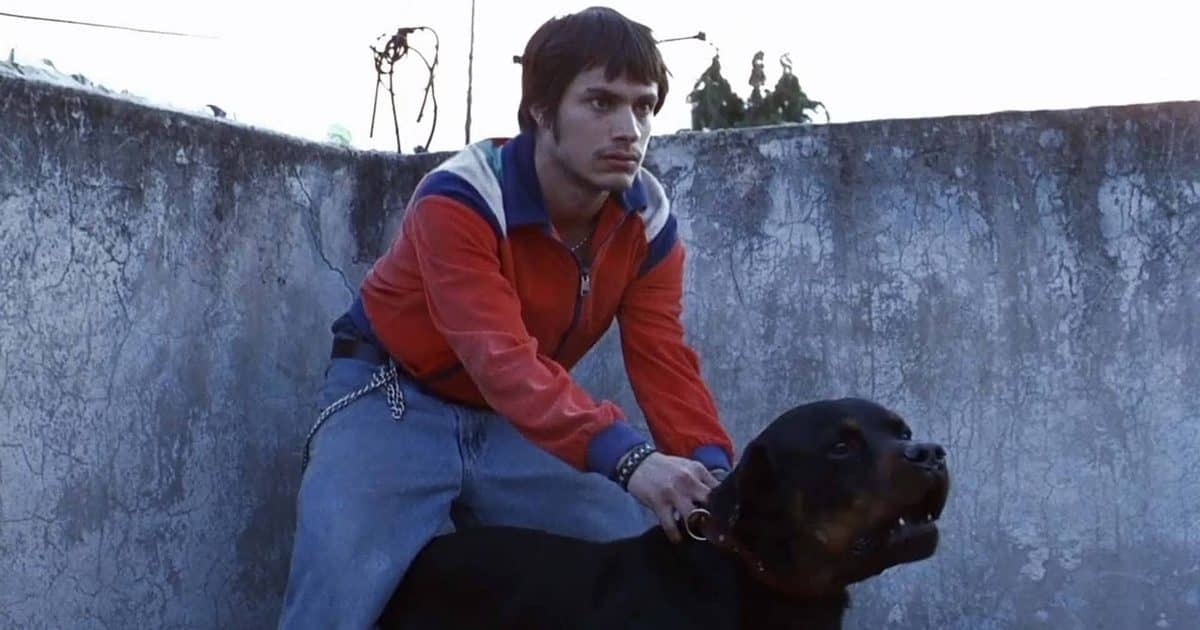 Amores perros