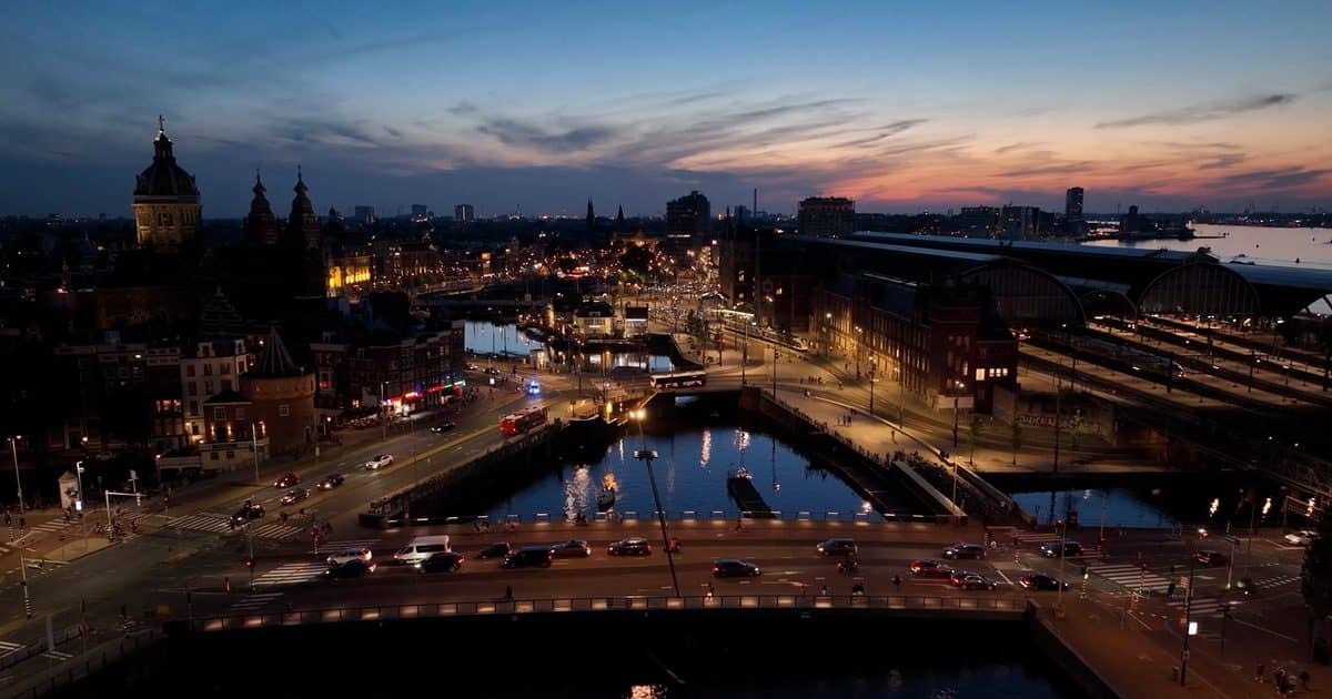 Amsterdam Wildlife by Night