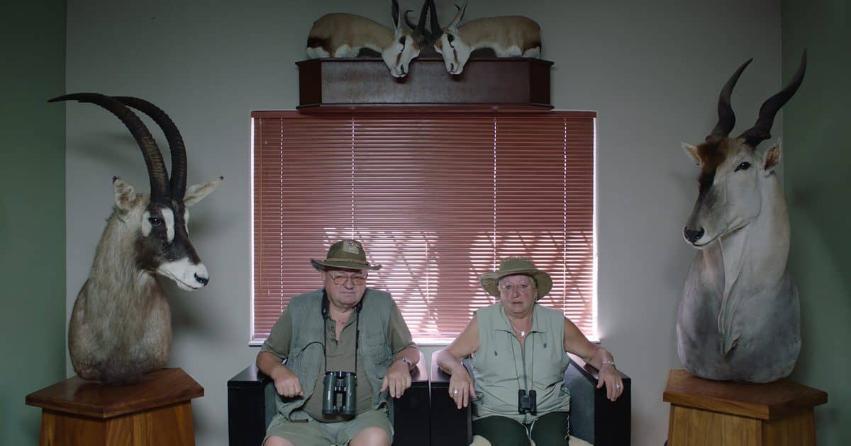 Safari