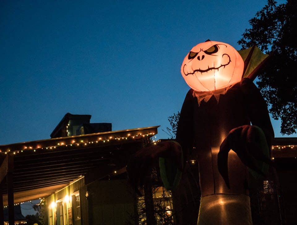 Boo at the Zoo