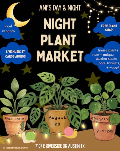 Night Plant Market