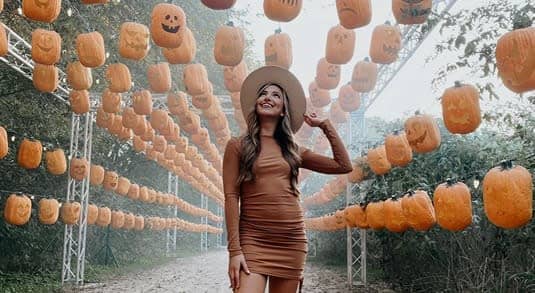 Pumpkin Nights