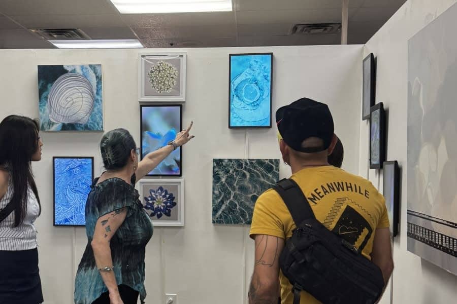 Open Studio with Elena Lipkowski + Dolphin Brown