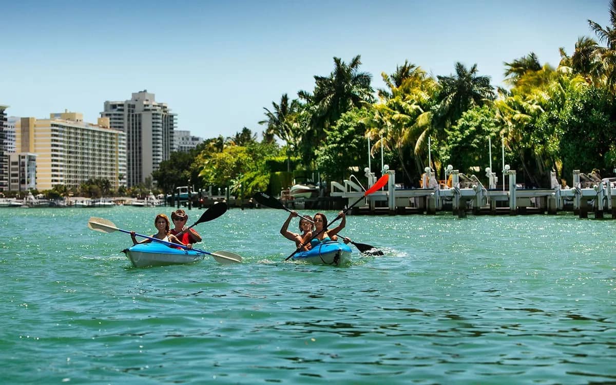 Cleanup, Kayak, and Connect