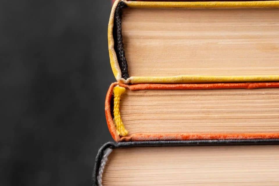 Grandes escritoras argentinas de la actualidad