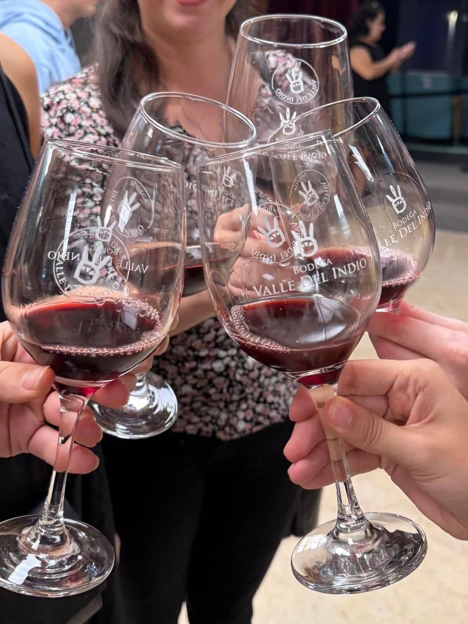 Vinos y Vinilos en el Patio de la Casa de la Cultura