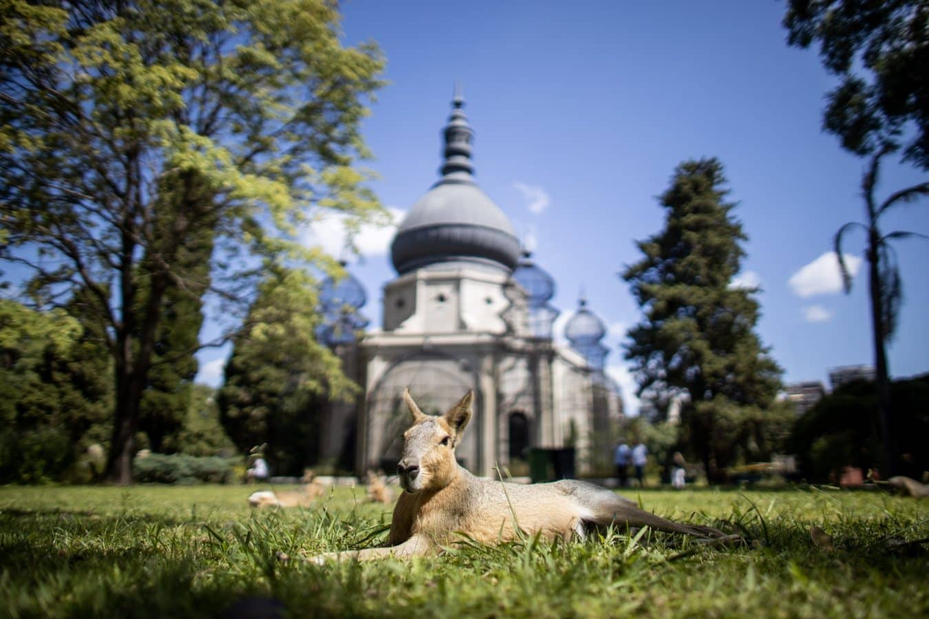 Visita guiada al Ecoparque