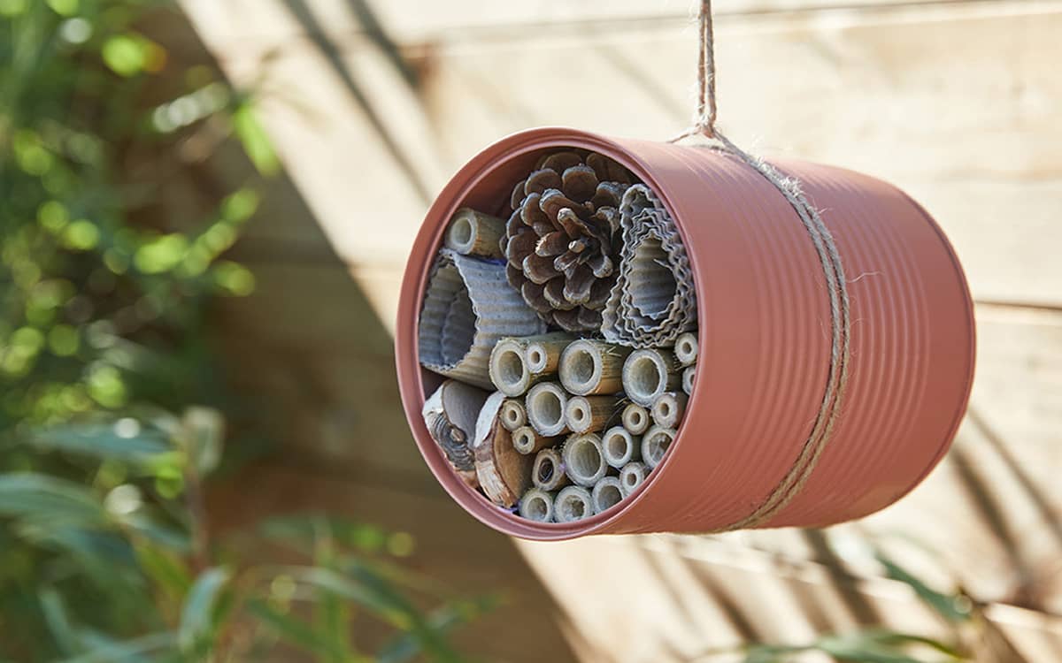 Atelier création d'hôtel à insectes