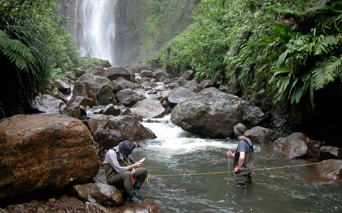 Rivers: Reflections of a Changing Earth