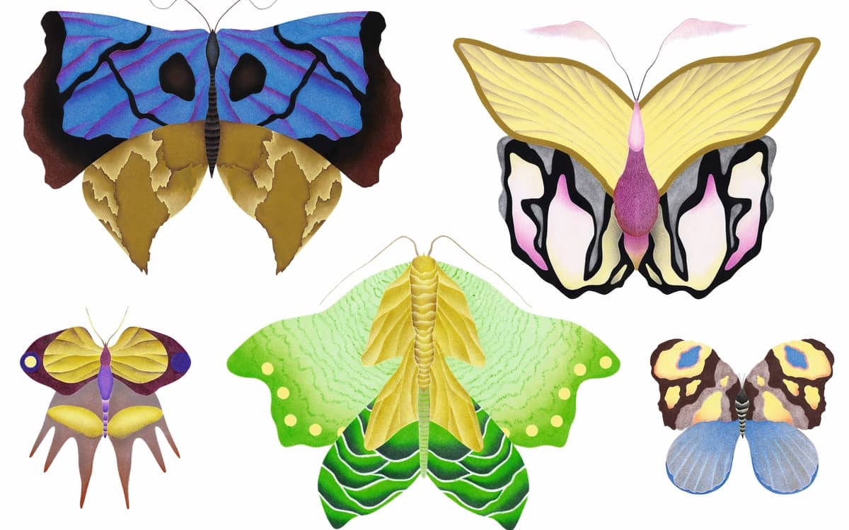 Atelier Papillons avec Juliette Binet