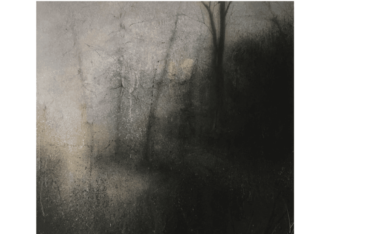 PM GALLERY - exposition « L’Ombre de vie » : du 18 septembre au 24 octobre 2026