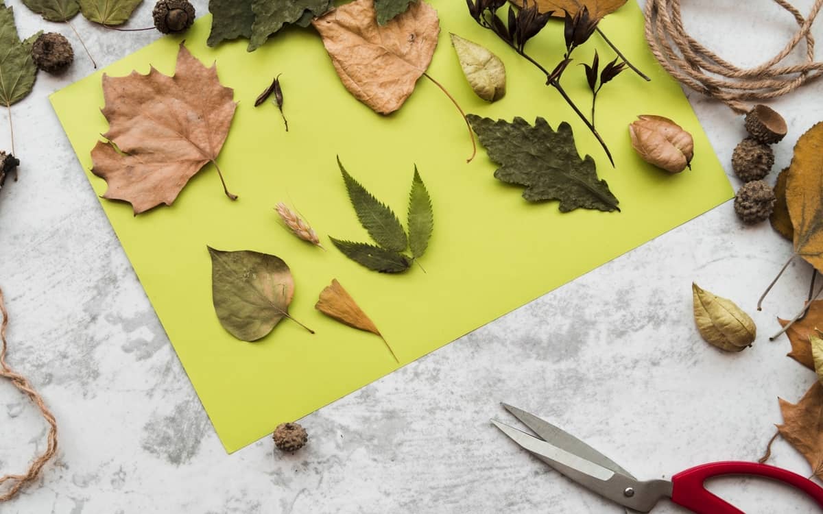 Ateliers créatifs nature