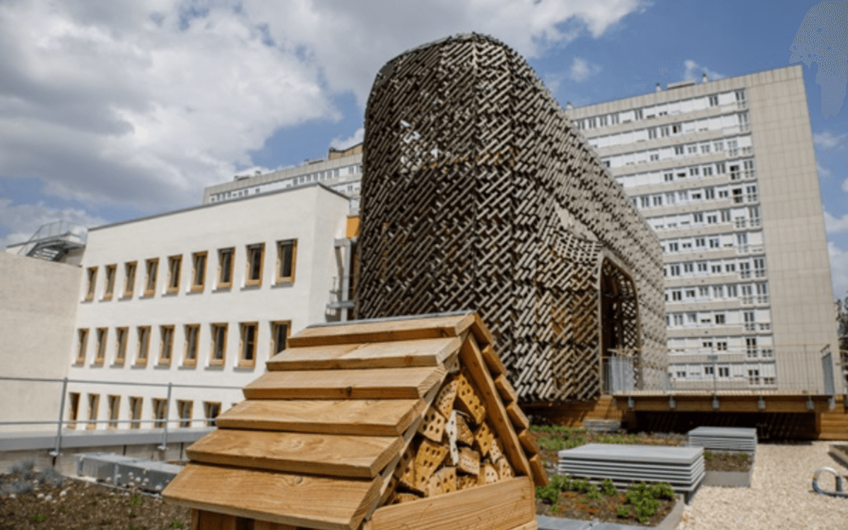 Métiers de Ville, métiers de vie : architecture, climat… rencontrez les professionnels qui transforment Paris