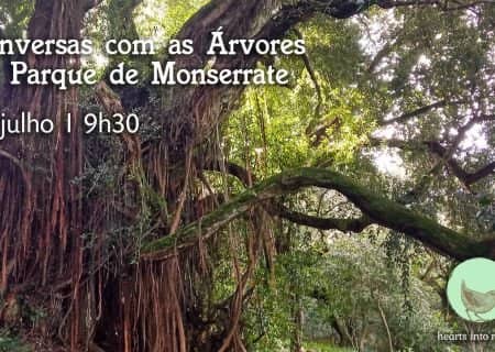 Conversations with the Trees at Monserrate Park