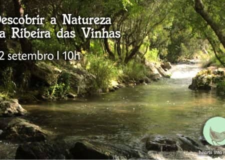Descobrir a Natureza da Ribeira das Vinhas