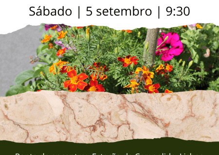 Por Lisboa, entre pedras e seres vivos