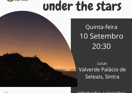 Seteais under the stars
