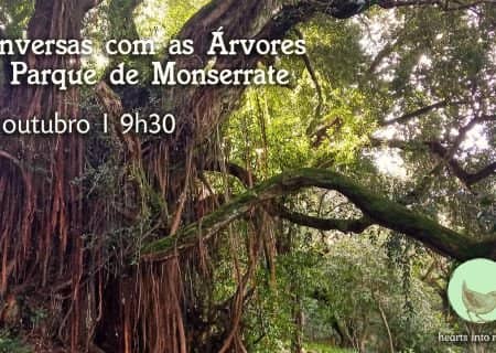 Conversas com as Árvores no Parque de Monserrate