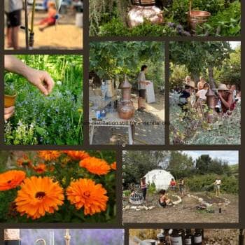Permaculture for Herbalists