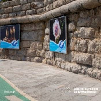 Exhibition Knowing to Conserve