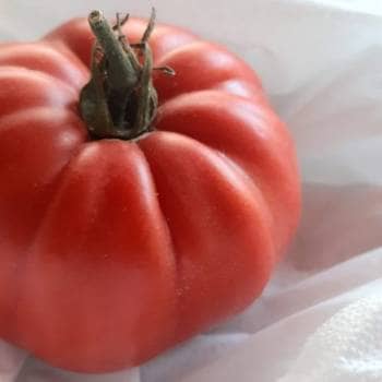 Tomato: From Seed to Table