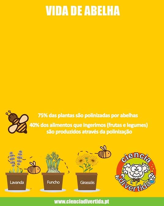 Fun Science Workshop: Bee Life