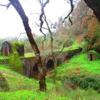 Caminhando à Descoberta da Mata de Belas