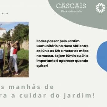 Vamos passar as manhãs de quinta-feira a cuidar do Jardim Comunitário na Nova SBE!