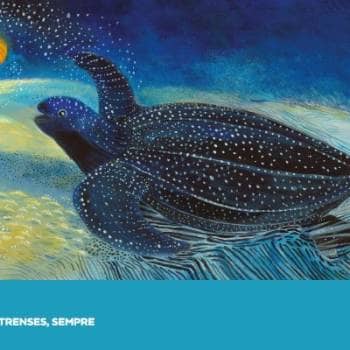 MU.SA convida a descobrir a arte de ilustrar